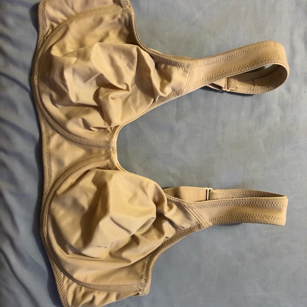 Rosa Faia Beautifull Bra.  Size 34 E.